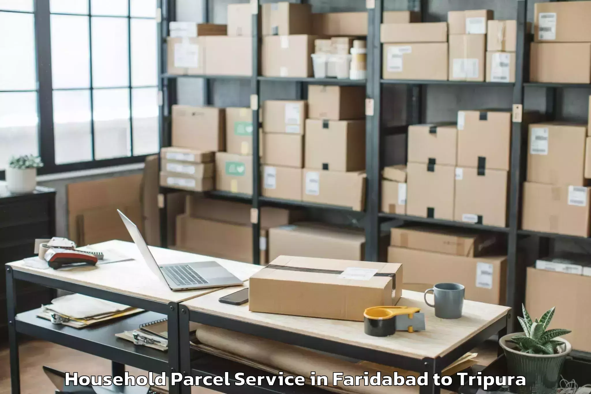 Affordable Faridabad to Panisagar Household Parcel